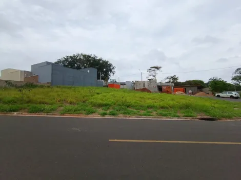 Comprar Terreno / Padr&atilde;o em Bady Bassitt R$ 180.000,00 - Foto 4