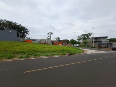 Comprar Terreno / Padr&atilde;o em Bady Bassitt R$ 180.000,00 - Foto 5