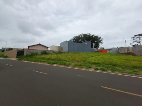 Comprar Terreno / Padr&atilde;o em Bady Bassitt R$ 180.000,00 - Foto 6