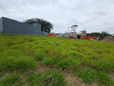 Comprar Terreno / Padr&atilde;o em Bady Bassitt R$ 180.000,00 - Foto 7