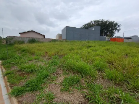 Comprar Terreno / Padr&atilde;o em Bady Bassitt R$ 180.000,00 - Foto 9