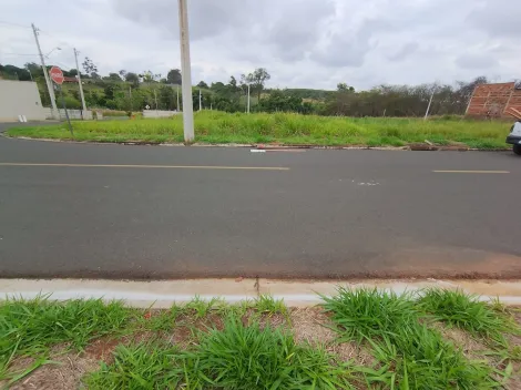 Comprar Terreno / Padr&atilde;o em Bady Bassitt R$ 180.000,00 - Foto 10