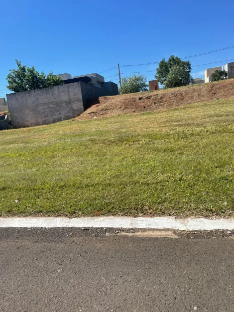 Terreno / Condom&iacute;nio em Bady Bassitt 