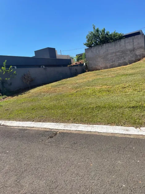 Comprar Terreno / Condom&iacute;nio em Bady Bassitt R$ 90.000,00 - Foto 2