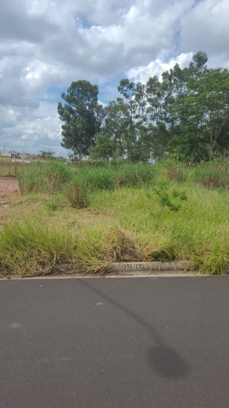 Terreno / Padr&atilde;o em S&atilde;o Jos&eacute; do Rio Preto 