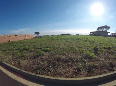 Terreno / Condom&iacute;nio em S&atilde;o Jos&eacute; do Rio Preto 