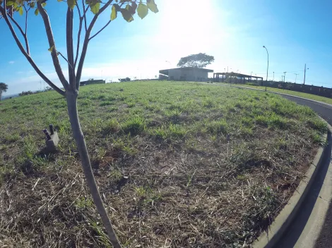 Comprar Terreno / Condom&iacute;nio em S&atilde;o Jos&eacute; do Rio Preto R$ 680.000,00 - Foto 5