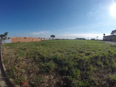 Comprar Terreno / Condom&iacute;nio em S&atilde;o Jos&eacute; do Rio Preto R$ 680.000,00 - Foto 11