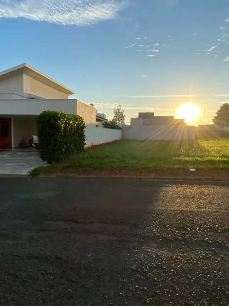 Comprar Terreno / Condom&iacute;nio em Mirassol R$ 350.000,00 - Foto 4