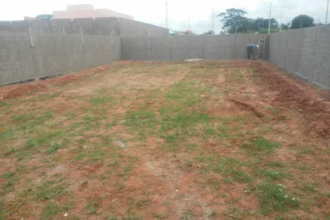 Comprar Terreno / Padr&atilde;o em Ol&iacute;mpia R$ 285.000,00 - Foto 2