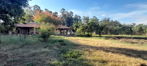 Alugar Rural / Ch&aacute;cara em Mirassol R$ 3.000,00 - Foto 6