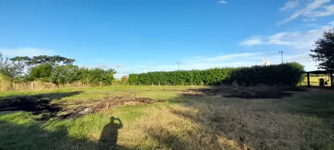 Alugar Rural / Ch&aacute;cara em Mirassol R$ 3.000,00 - Foto 20