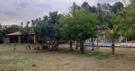 Alugar Rural / Ch&aacute;cara em Mirassol R$ 3.000,00 - Foto 18
