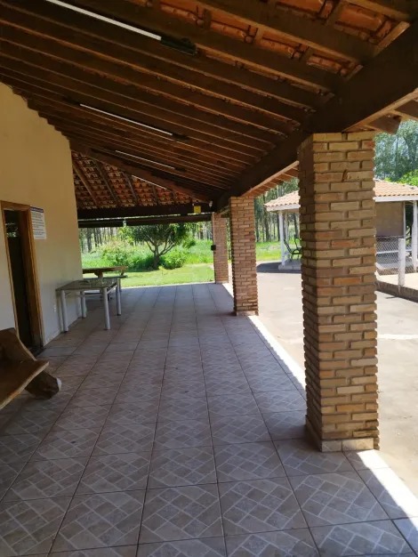 Alugar Rural / Ch&aacute;cara em Mirassol R$ 3.000,00 - Foto 16