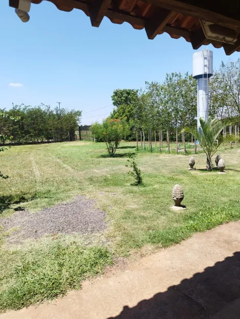 Alugar Rural / Ch&aacute;cara em Mirassol R$ 3.000,00 - Foto 21