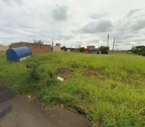 S&atilde;o Jos&eacute; do Rio Preto - Residencial Mais Viver - Terreno - Padr&atilde;o - Venda