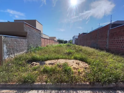 Comprar Terreno / &Aacute;rea em Bady Bassitt R$ 75.000,00 - Foto 2