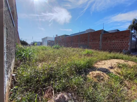 Comprar Terreno / &Aacute;rea em Bady Bassitt R$ 75.000,00 - Foto 3