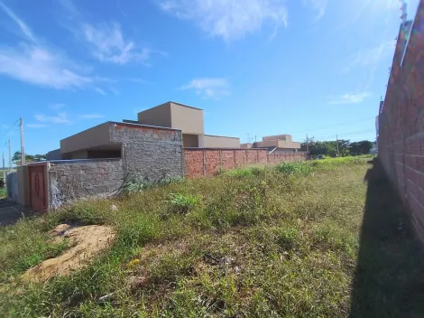 Comprar Terreno / &Aacute;rea em Bady Bassitt R$ 75.000,00 - Foto 4