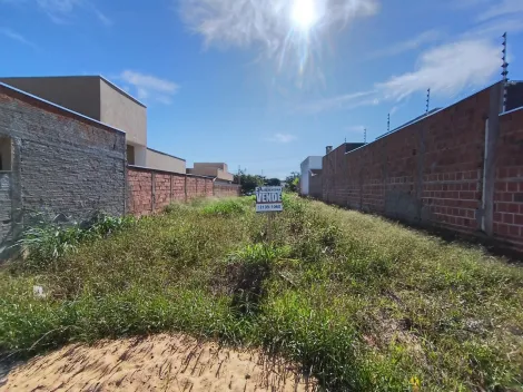 Comprar Terreno / &Aacute;rea em Bady Bassitt R$ 75.000,00 - Foto 5