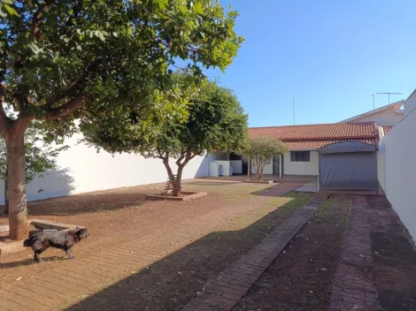 Alugar Casa / Padr&atilde;o em S&atilde;o Jos&eacute; do Rio Preto R$ 1.500,00 - Foto 2