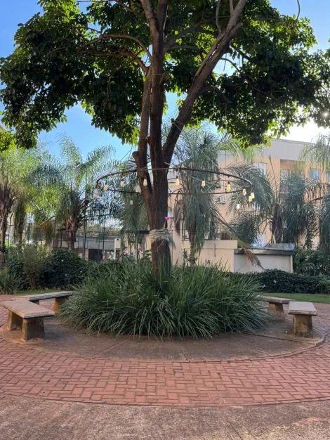 Comprar Apartamento / Padr&atilde;o em S&atilde;o Jos&eacute; do Rio Preto R$ 280.000,00 - Foto 12