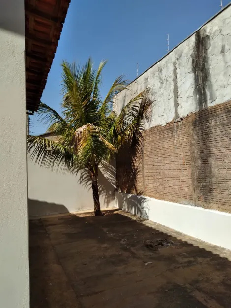 Alugar Casa / Padr&atilde;o em S&atilde;o Jos&eacute; do Rio Preto R$ 1.500,00 - Foto 11