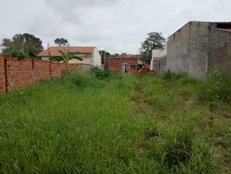 Comprar Terreno / Padr&atilde;o em Bady Bassitt R$ 90.000,00 - Foto 4