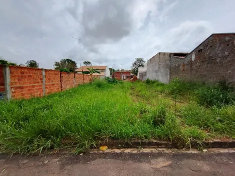 Comprar Terreno / Padr&atilde;o em Bady Bassitt R$ 90.000,00 - Foto 5