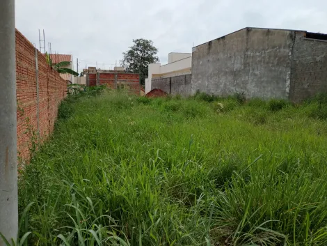 Comprar Terreno / Padr&atilde;o em Bady Bassitt R$ 90.000,00 - Foto 6