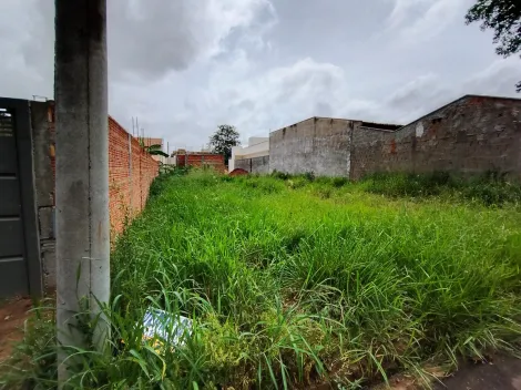 Comprar Terreno / Padr&atilde;o em Bady Bassitt R$ 90.000,00 - Foto 7
