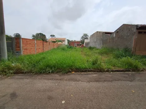 Comprar Terreno / Padr&atilde;o em Bady Bassitt R$ 90.000,00 - Foto 8
