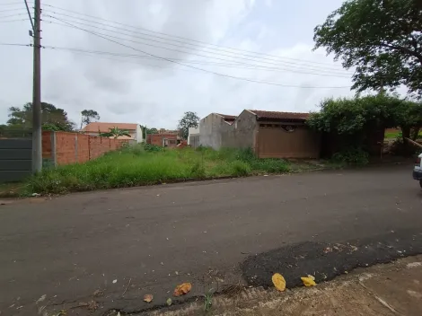 Comprar Terreno / Padr&atilde;o em Bady Bassitt R$ 90.000,00 - Foto 11
