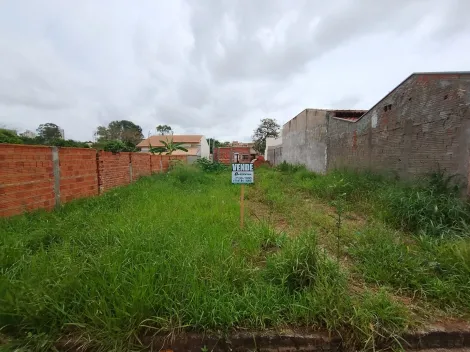 Comprar Terreno / Padr&atilde;o em Bady Bassitt R$ 90.000,00 - Foto 13