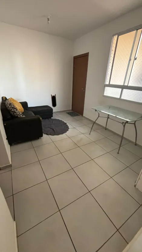 S&atilde;o Jos&eacute; do Rio Preto - Loteamento Clube V - Apartamento - Padr&atilde;o - Venda