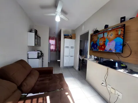 Comprar Casa / Padr&atilde;o em Bady Bassitt R$ 170.000,00 - Foto 9