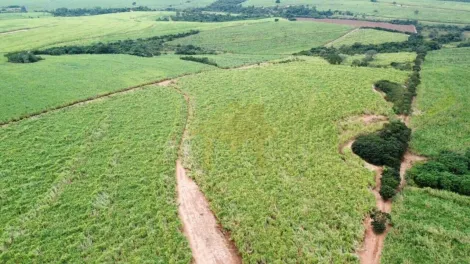 Ol&iacute;mpia - &Aacute;rea Rural de Ol&iacute;mpia - Rural - S&iacute;tio - Venda