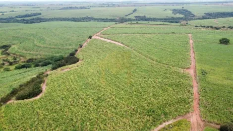 Comprar Rural / S&iacute;tio em Ol&iacute;mpia R$ 2.100.000,00 - Foto 2