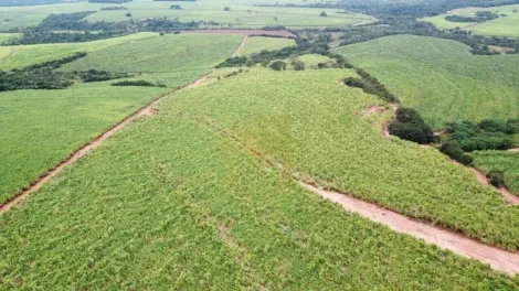 Comprar Rural / S&iacute;tio em Ol&iacute;mpia R$ 2.100.000,00 - Foto 4