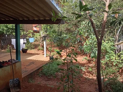 Comprar Casa / Padr&atilde;o em Guaraci R$ 320.000,00 - Foto 15