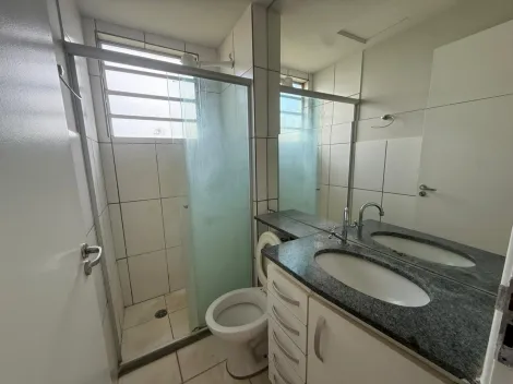 Alugar Apartamento / Padr&atilde;o em S&atilde;o Jos&eacute; do Rio Preto R$ 1.650,00 - Foto 13