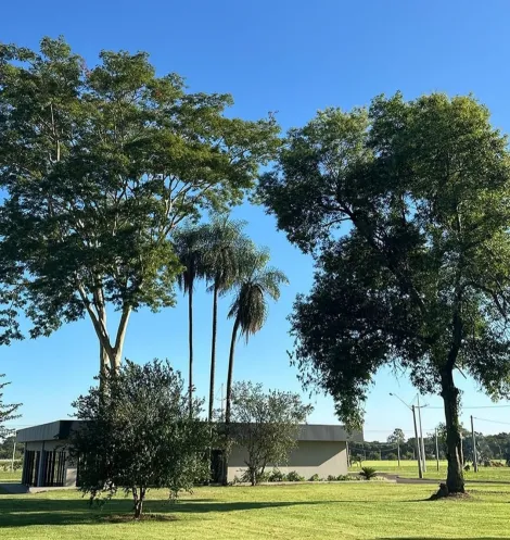 Comprar Terreno / Condom&iacute;nio em Barbosa R$ 340.000,00 - Foto 4