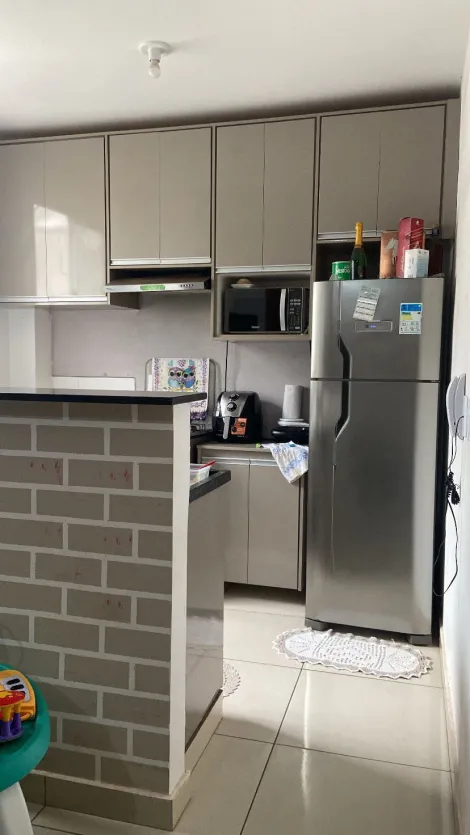 Alugar Apartamento / Padr&atilde;o em S&atilde;o Jos&eacute; do Rio Preto. apenas R$ 175.000,00