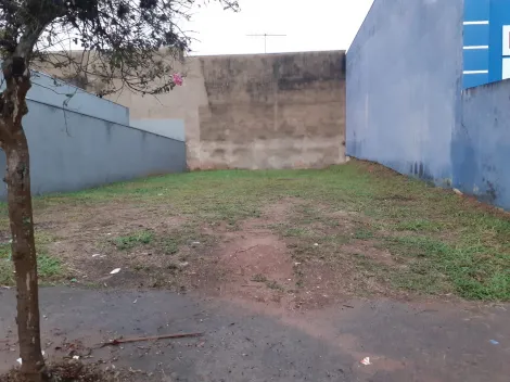 Alugar Terreno / Padr&atilde;o em S&atilde;o Jos&eacute; do Rio Preto. apenas R$ 170.000,00