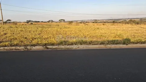 Comprar Terreno / Padr&atilde;o em Mirassol R$ 95.000,00 - Foto 2