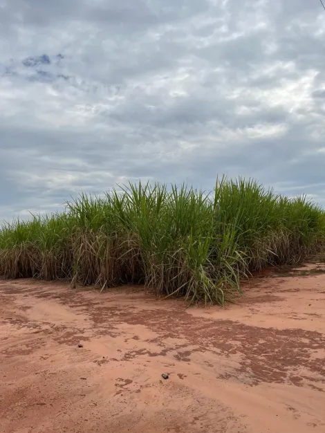 Rural / S&iacute;tio em Olimpia 