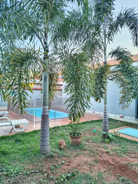 Alugar Casa / Padr&atilde;o em S&atilde;o Jos&eacute; do Rio Preto R$ 5.000,00 - Foto 29