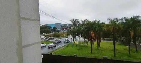 Alugar Apartamento / Padr&atilde;o em S&atilde;o Jos&eacute; do Rio Preto R$ 1.000,00 - Foto 5