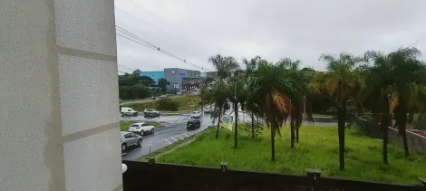 Alugar Apartamento / Padr&atilde;o em S&atilde;o Jos&eacute; do Rio Preto R$ 1.000,00 - Foto 15