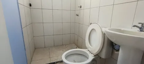 Alugar Apartamento / Padr&atilde;o em S&atilde;o Jos&eacute; do Rio Preto R$ 1.000,00 - Foto 20